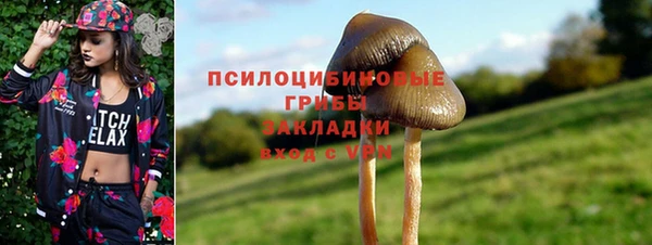круглые Гусев