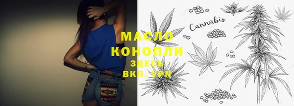 спайс Гусь-Хрустальный