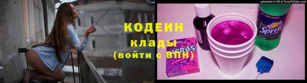 спайс Гусь-Хрустальный