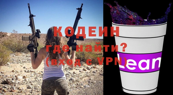 круглые Гусев