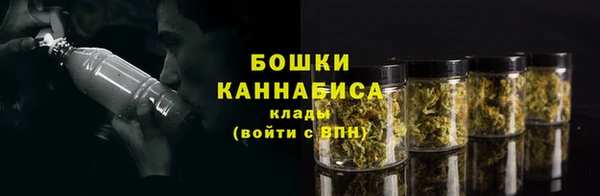 спайс Гусь-Хрустальный