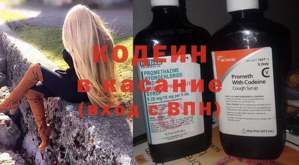 спайс Гусь-Хрустальный
