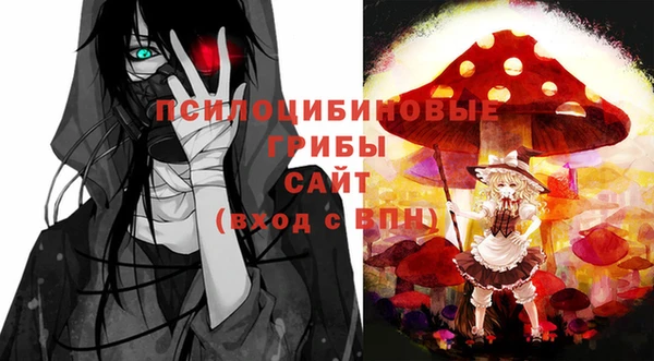 спайс Гусь-Хрустальный