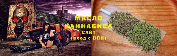круглые Гусев