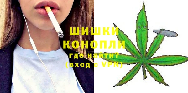 спайс Гусь-Хрустальный