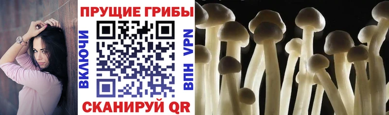 Галлюциногенные грибы Magic Shrooms Купить где Зуевка